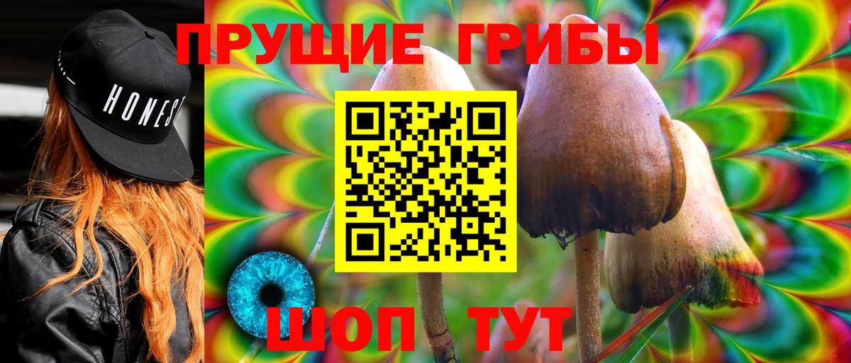 Галлюциногенные грибы мицелий  Псилоцибиновые грибы ЛСД  Крымск  Вход с VPN 